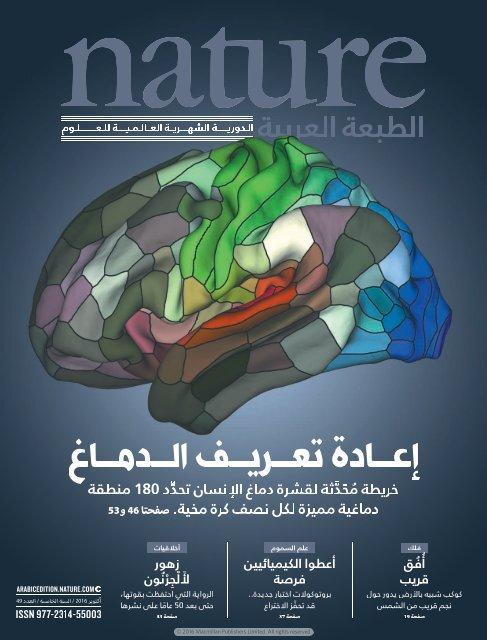 خرائط جوجل تتخطى حدود الواقع: دعم مُحسّن لتقنيات الواقع المعزز والافتراضي