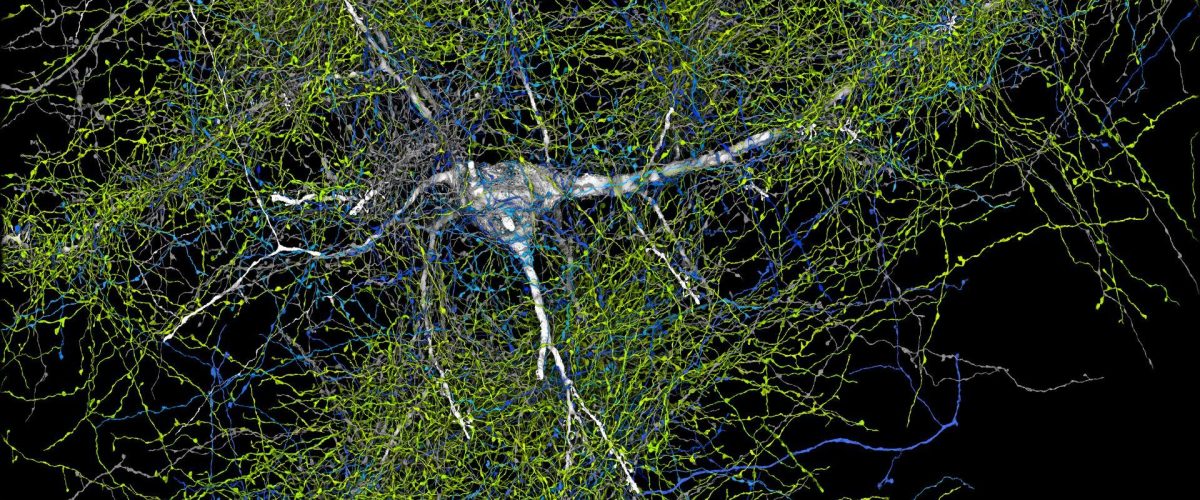 الواقع المعزز في خرائط جوجل: تجربة استكشاف غامرة