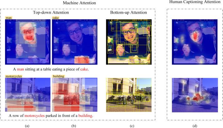 إدارة المساهمات والمستوى: