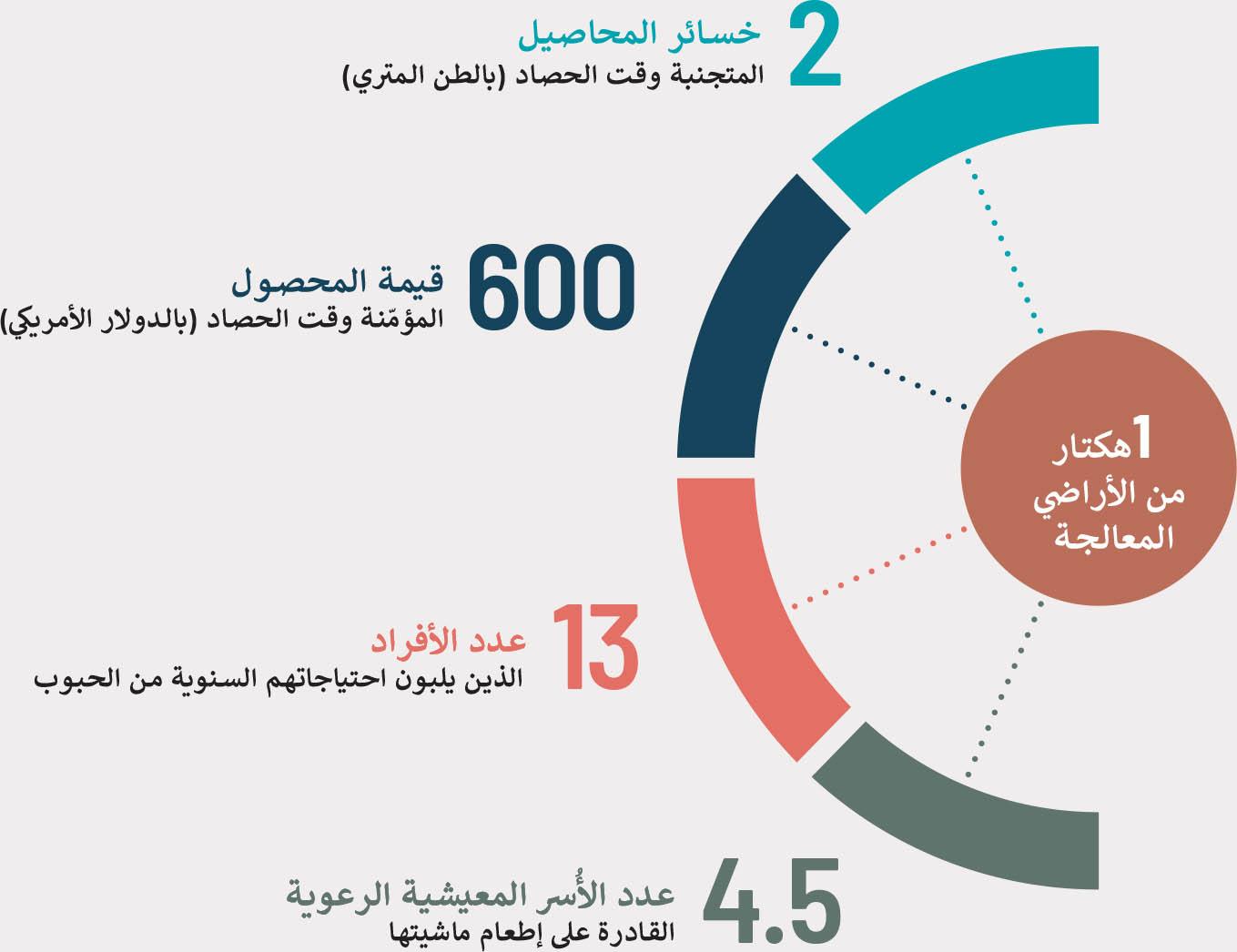 استكشاف المناطق المطلوبة: تحديد واختيار مساحة التنزيل بدقة